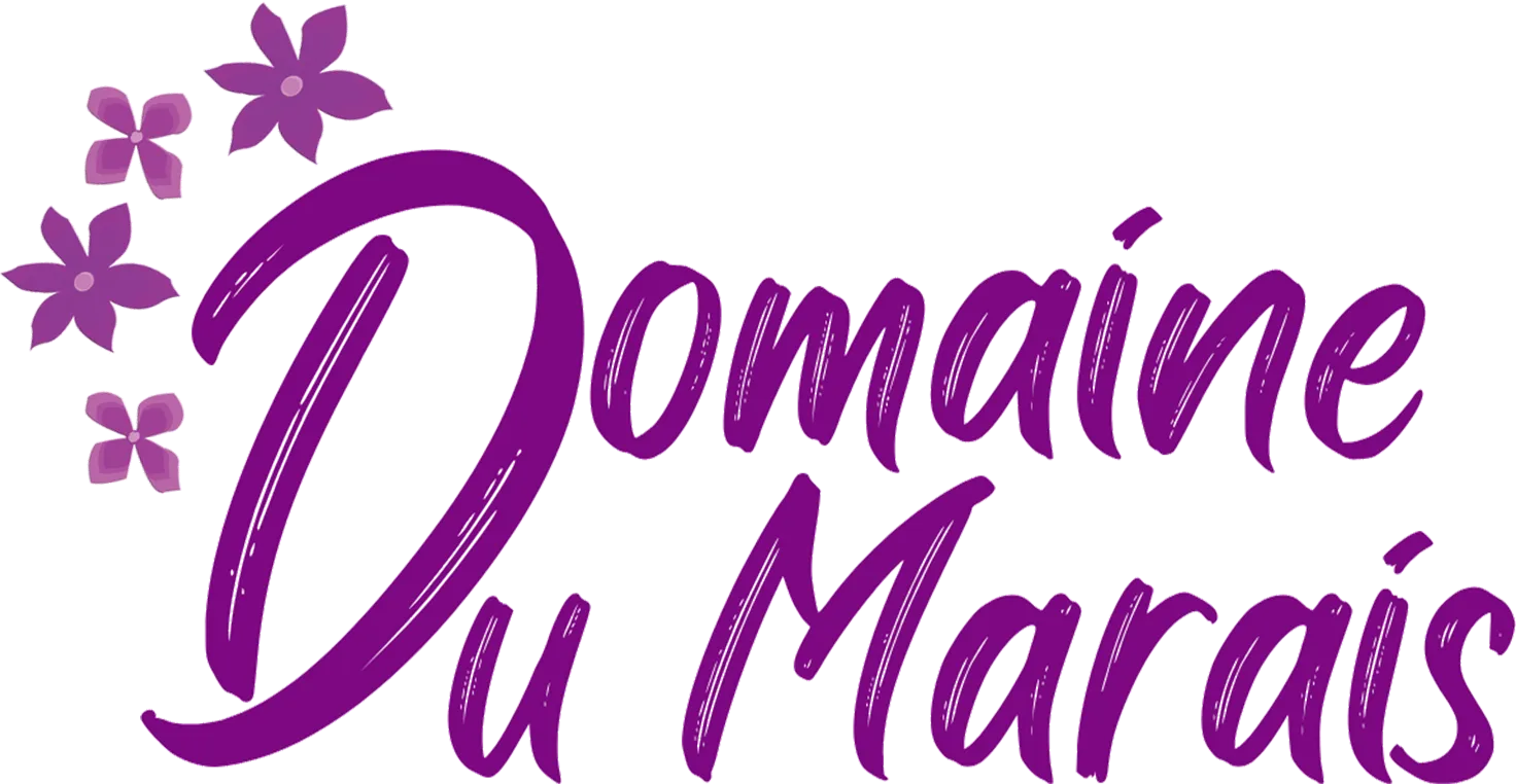 CAMPING LE DOMAINE DU MARAIS